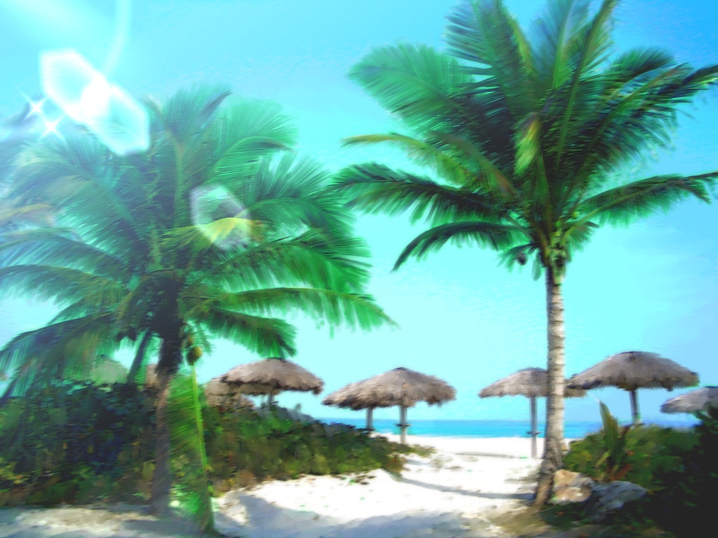 椰子の木とビーチ