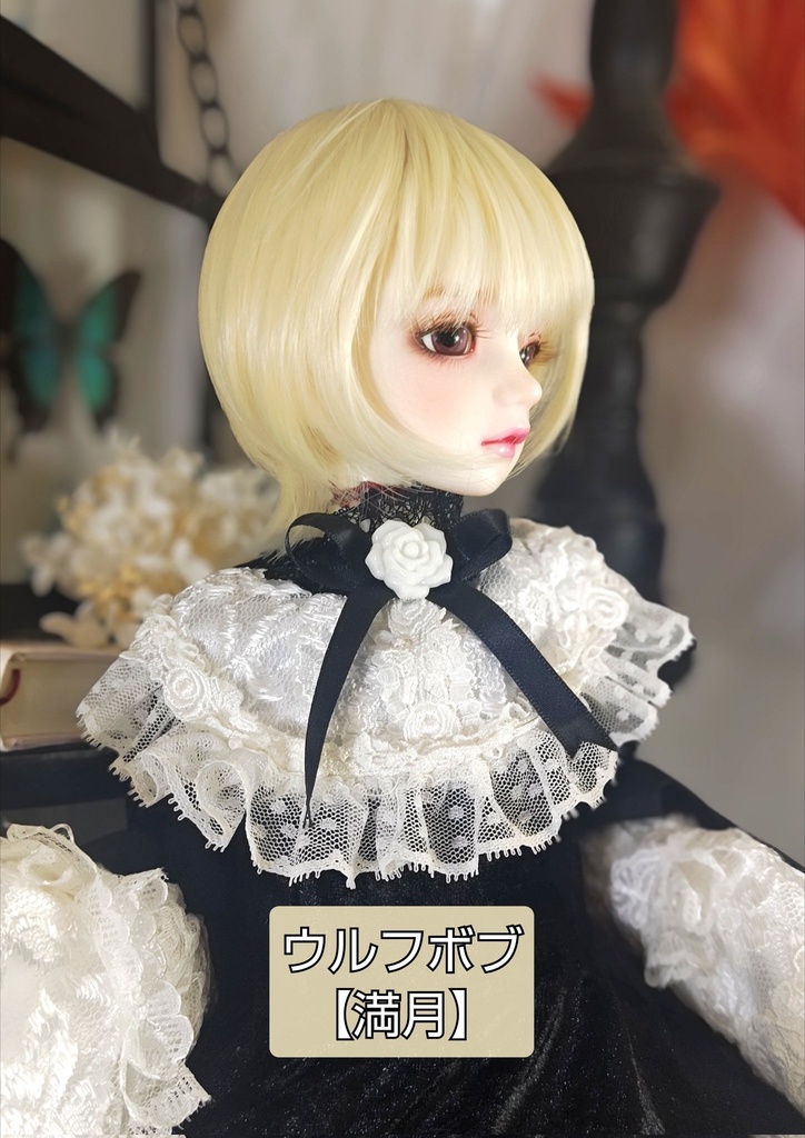 ❤️9㌅ウルフボブ【満月】
