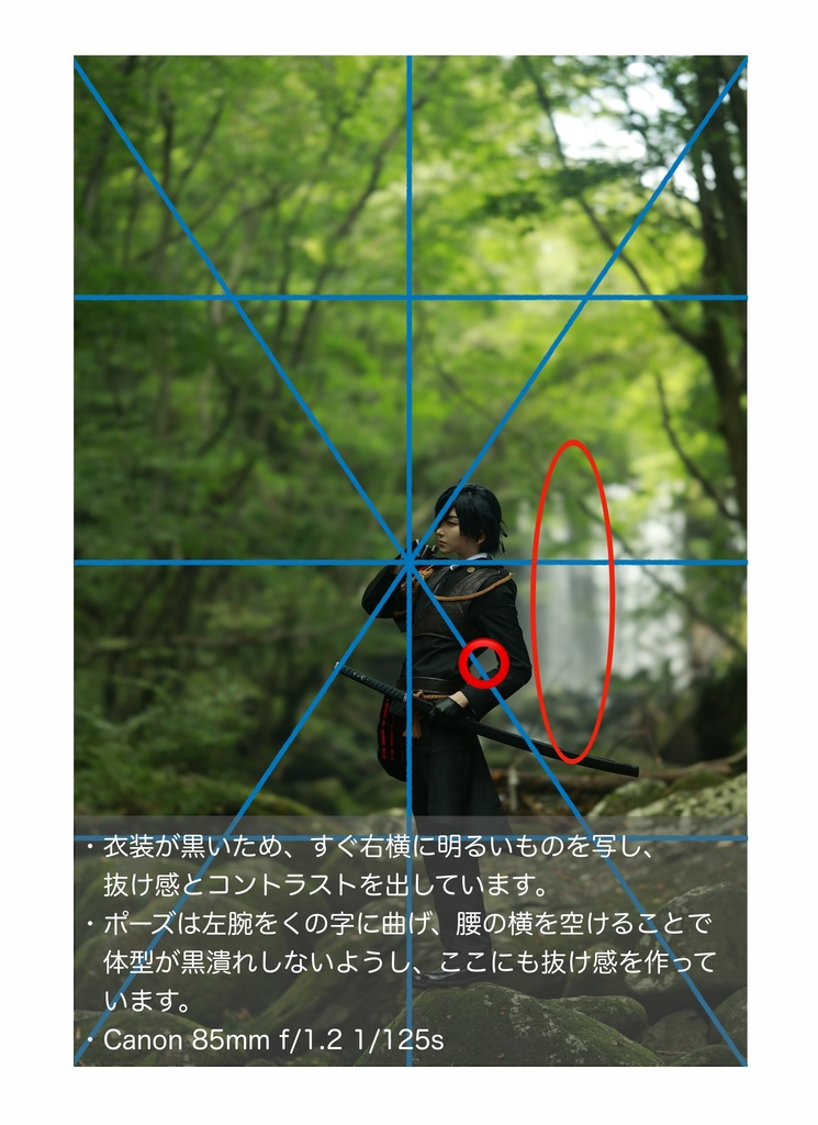 そこに居るを撮る 構図解説集 総集編