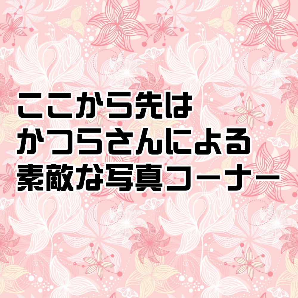 【ヨール&狐薄用】寝起きシャツ - Sleepover front-opening shirt -