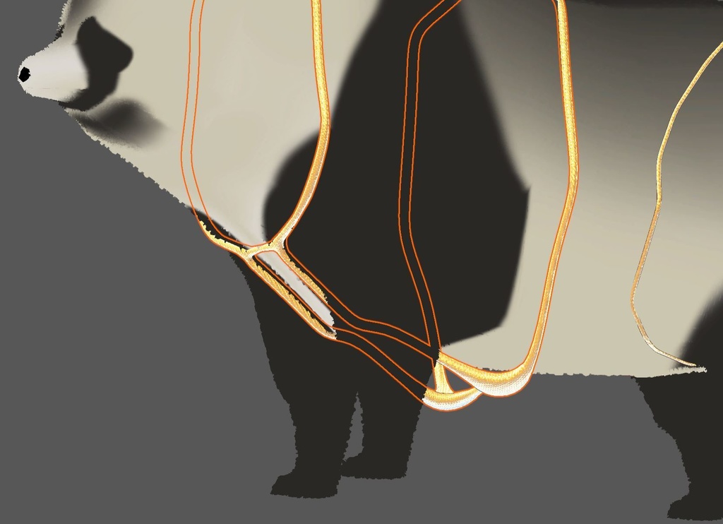 【たぬき専用】VRChatの闇を照らすゴールデンビキニ【オーディオリンク対応】