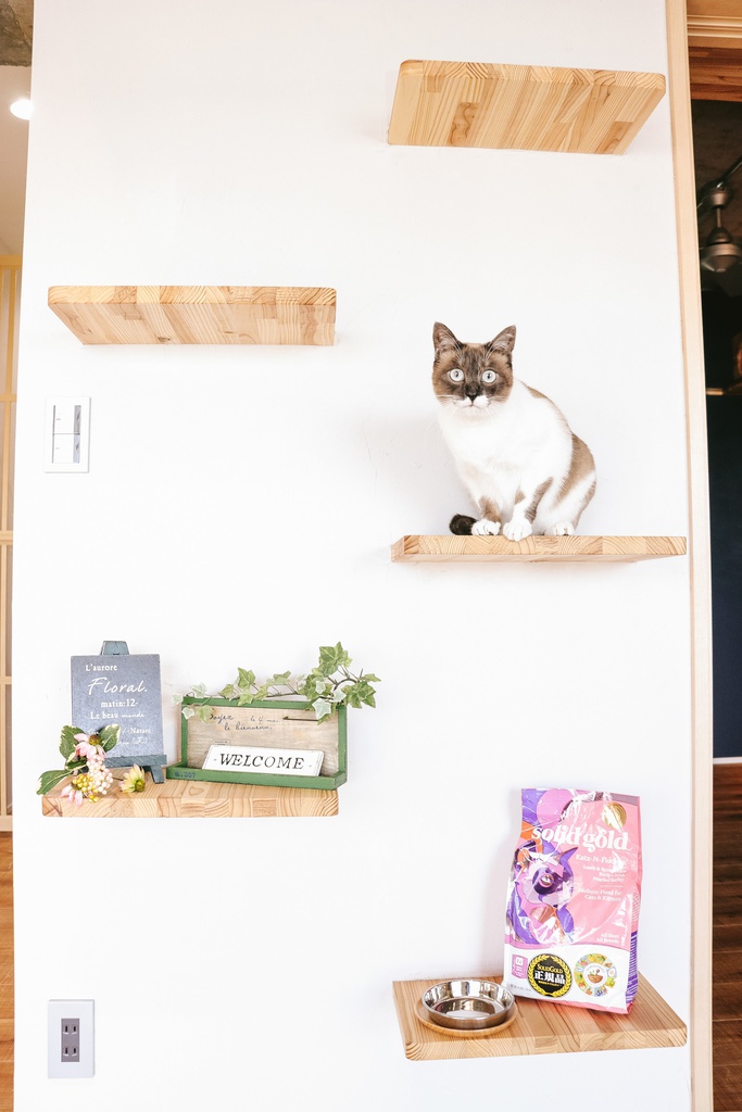 倉庫あとから発送