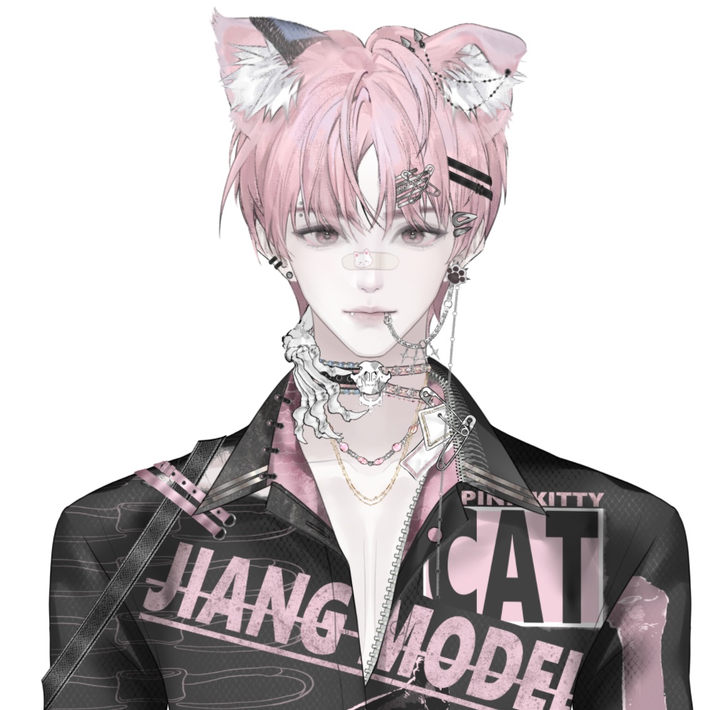 Live2dモデル / Premade Live2d Model / Vtuber Model