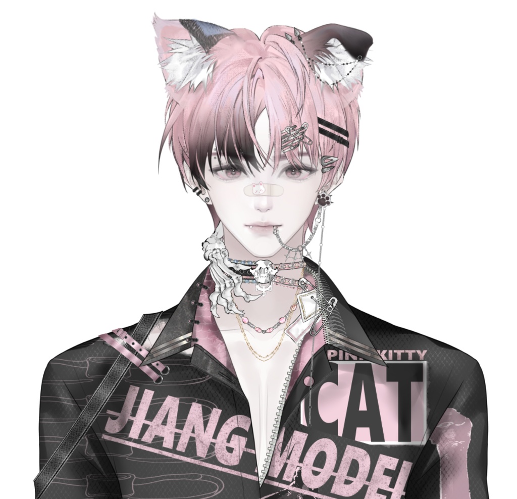 Live2dモデル / Premade Live2d Model / Vtuber Model
