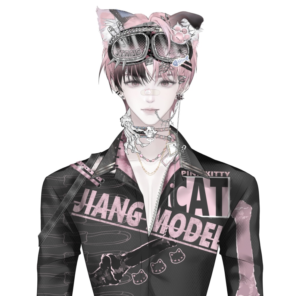 Live2dモデル / Premade Live2d Model / Vtuber Model