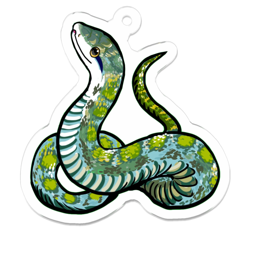 アオダイショウ(青) アクキー