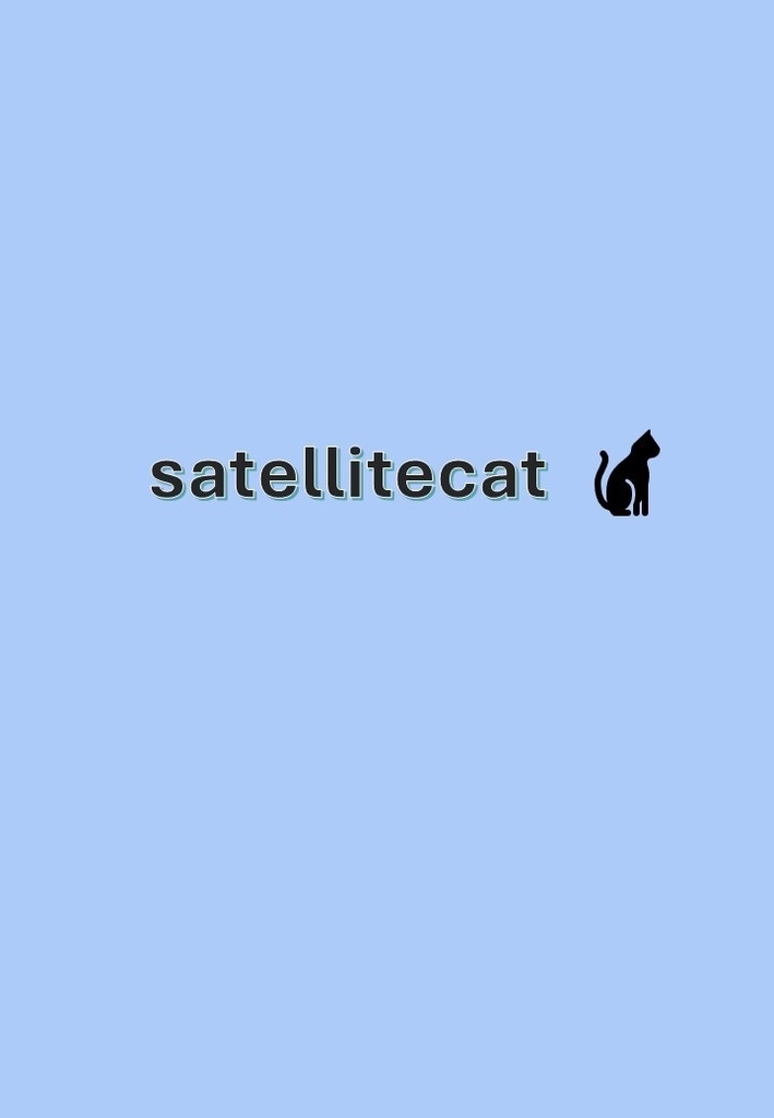 satellitecat (短文基本問題)