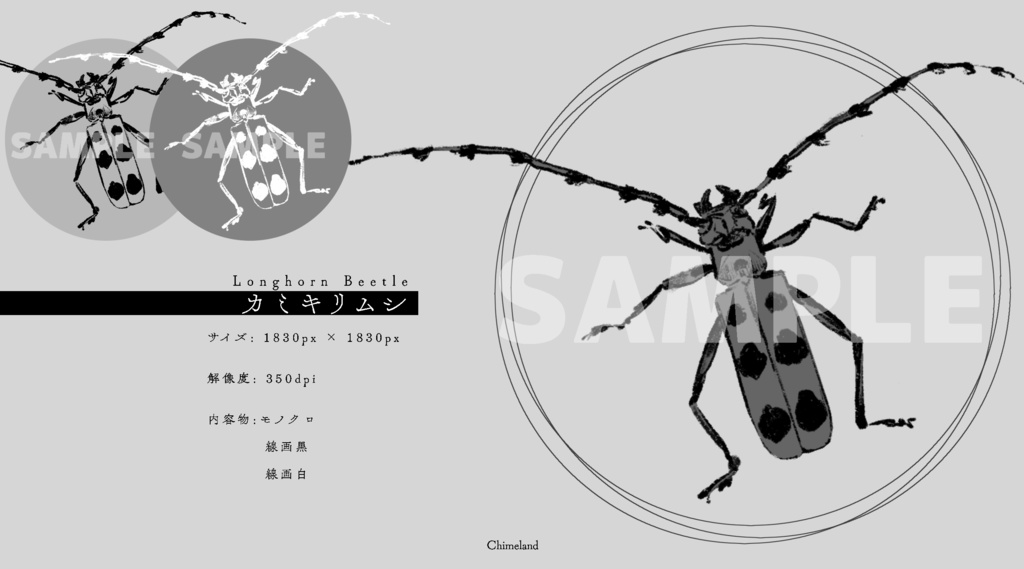 動物素材【朽】