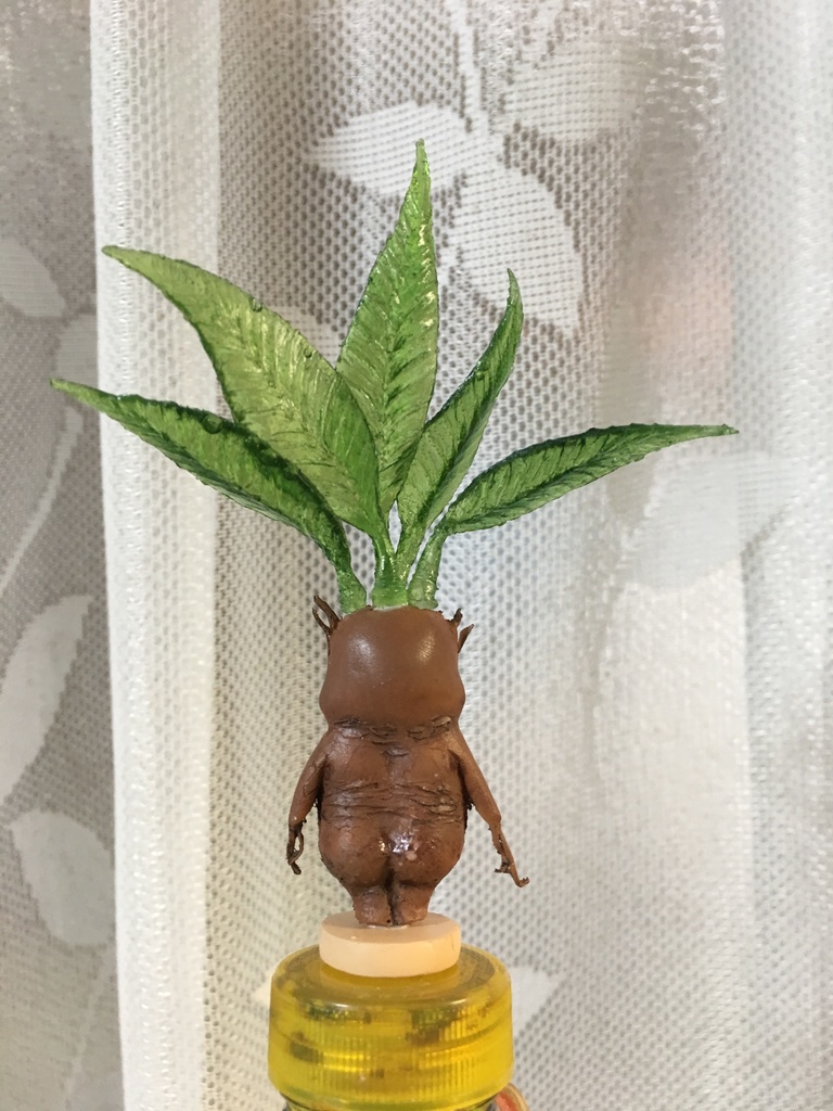 マンドラゴラちゃん