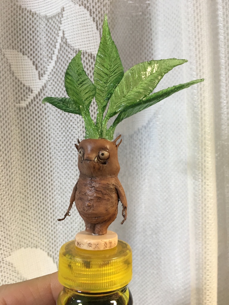 マンドラゴラちゃん