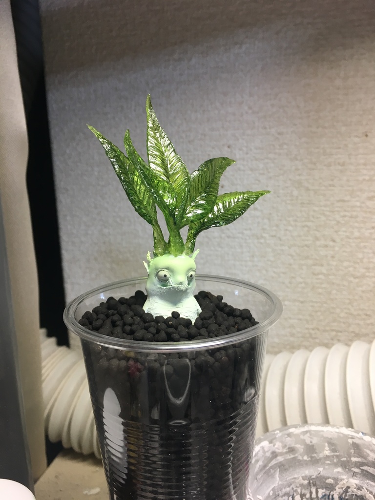 マンドラゴラちゃん