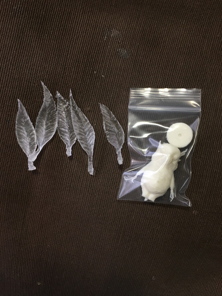 マンドラゴラちゃん