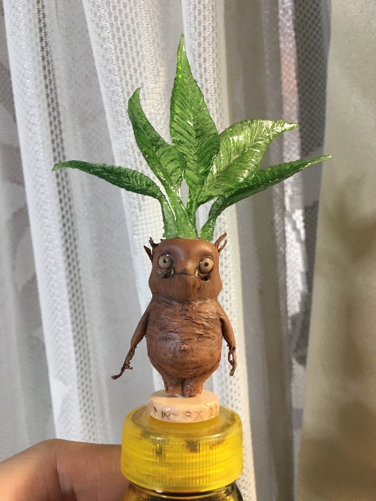 マンドラゴラちゃん