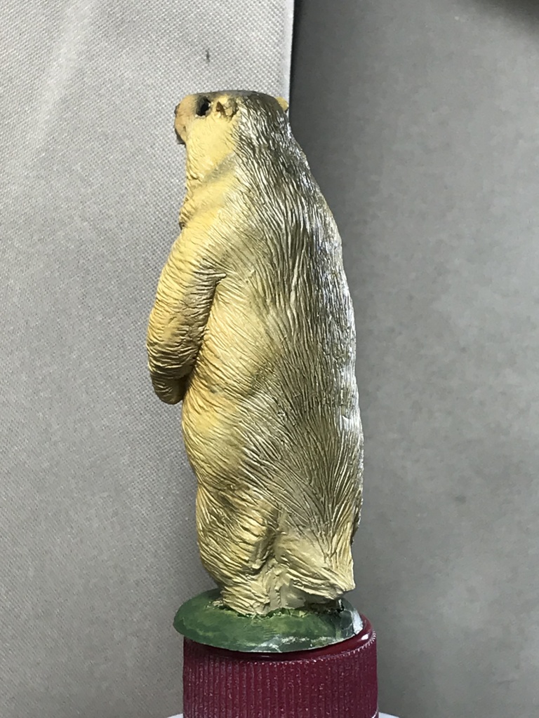 ガチムチ!ヒマラヤマーモット〜魂の雄叫びver.〜