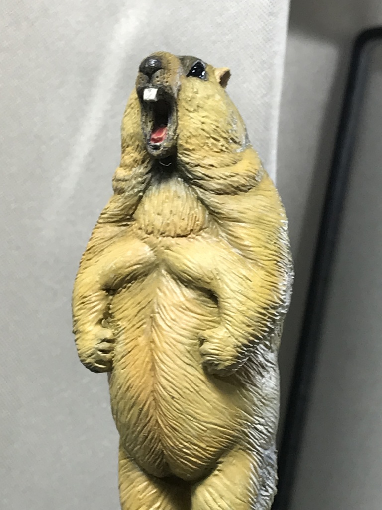 ガチムチ!ヒマラヤマーモット〜魂の雄叫びver.〜