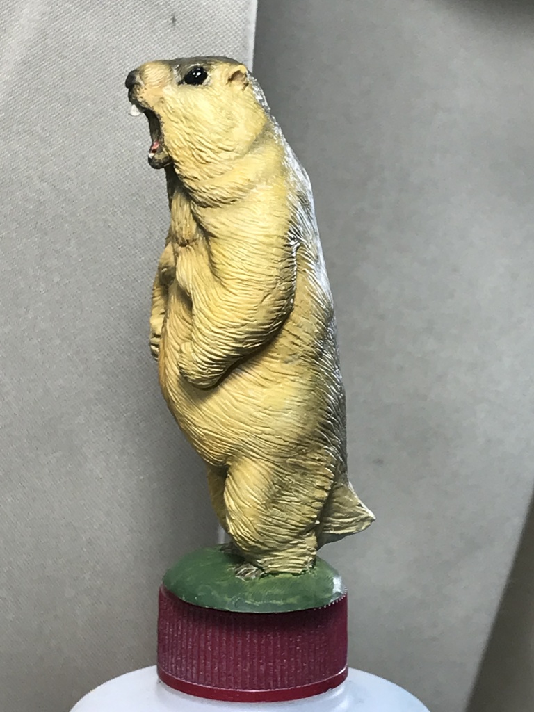 ガチムチ!ヒマラヤマーモット〜魂の雄叫びver.〜