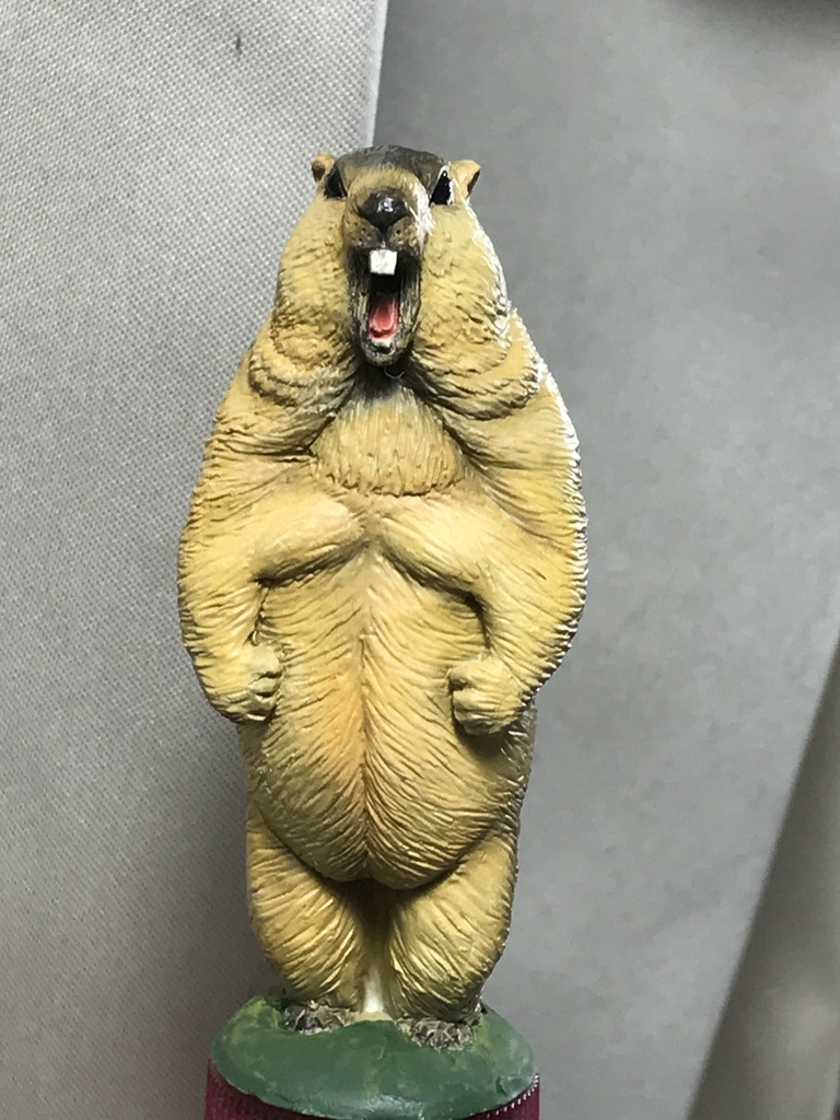 ガチムチ!ヒマラヤマーモット〜魂の雄叫びver.〜