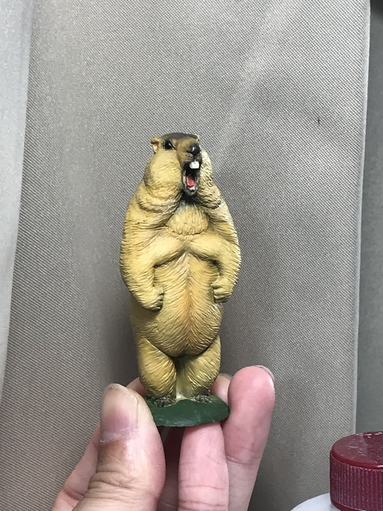 ガチムチ!ヒマラヤマーモット〜魂の雄叫びver.〜