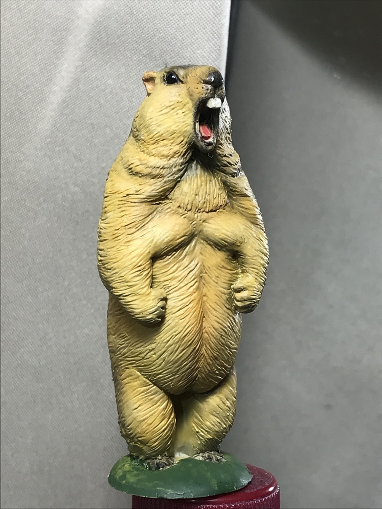 ガチムチ!ヒマラヤマーモット〜魂の雄叫びver.〜