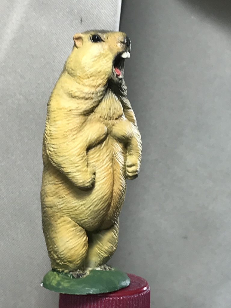 ガチムチ!ヒマラヤマーモット〜魂の雄叫びver.〜