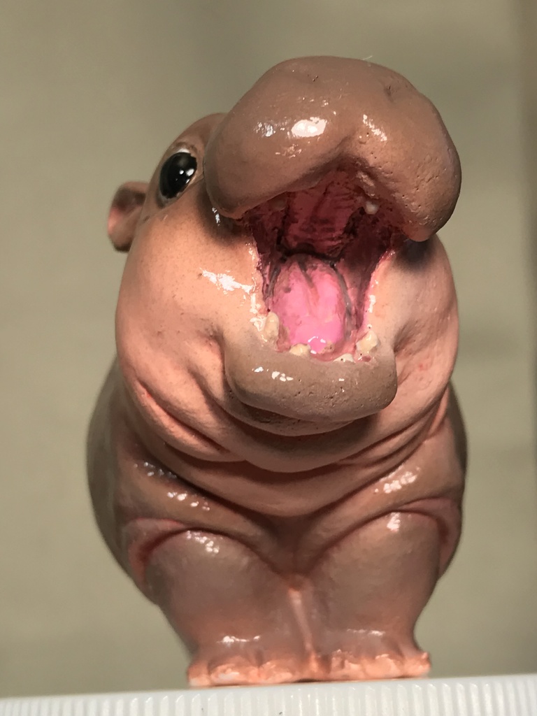 絶叫!!コビトカバちゃん!