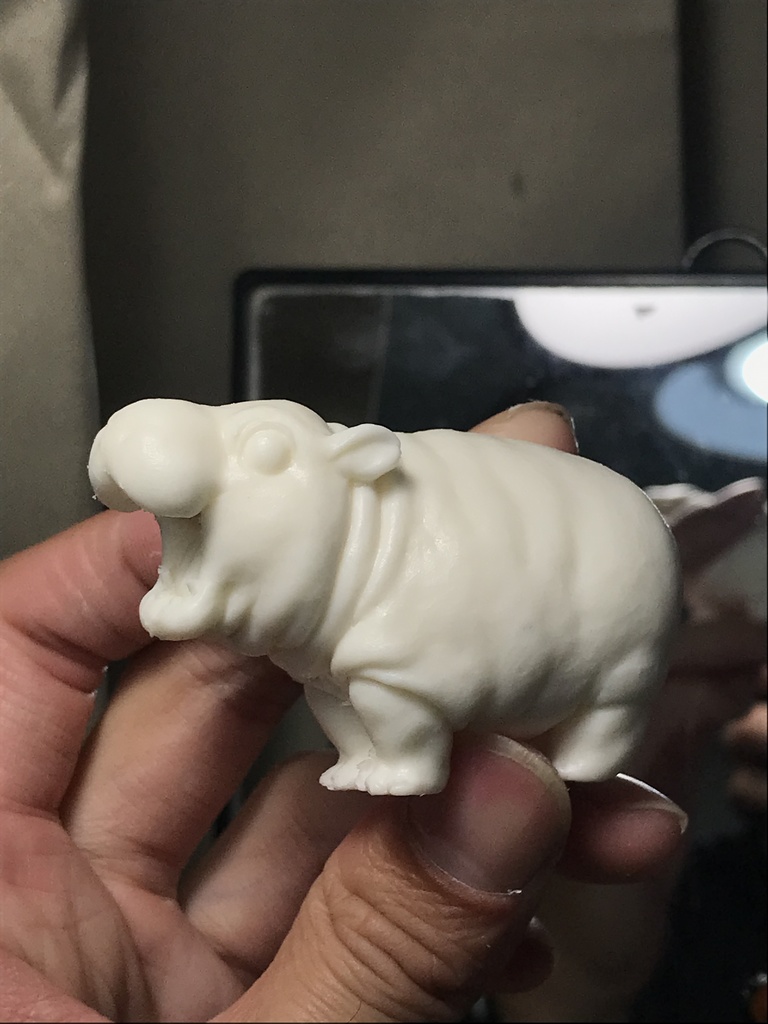 絶叫!!コビトカバちゃん!