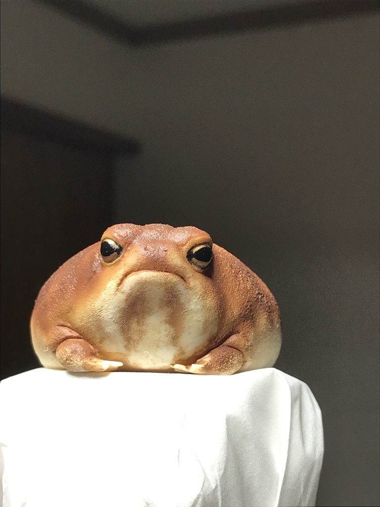 アメフクラガエル