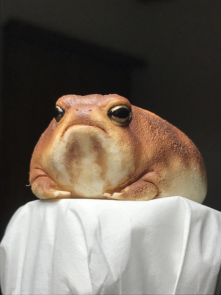 アメフクラガエル