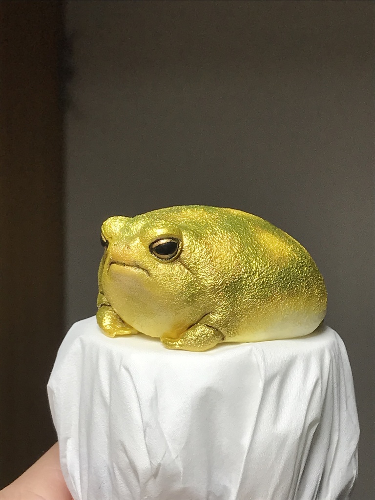 アメフクラガエル