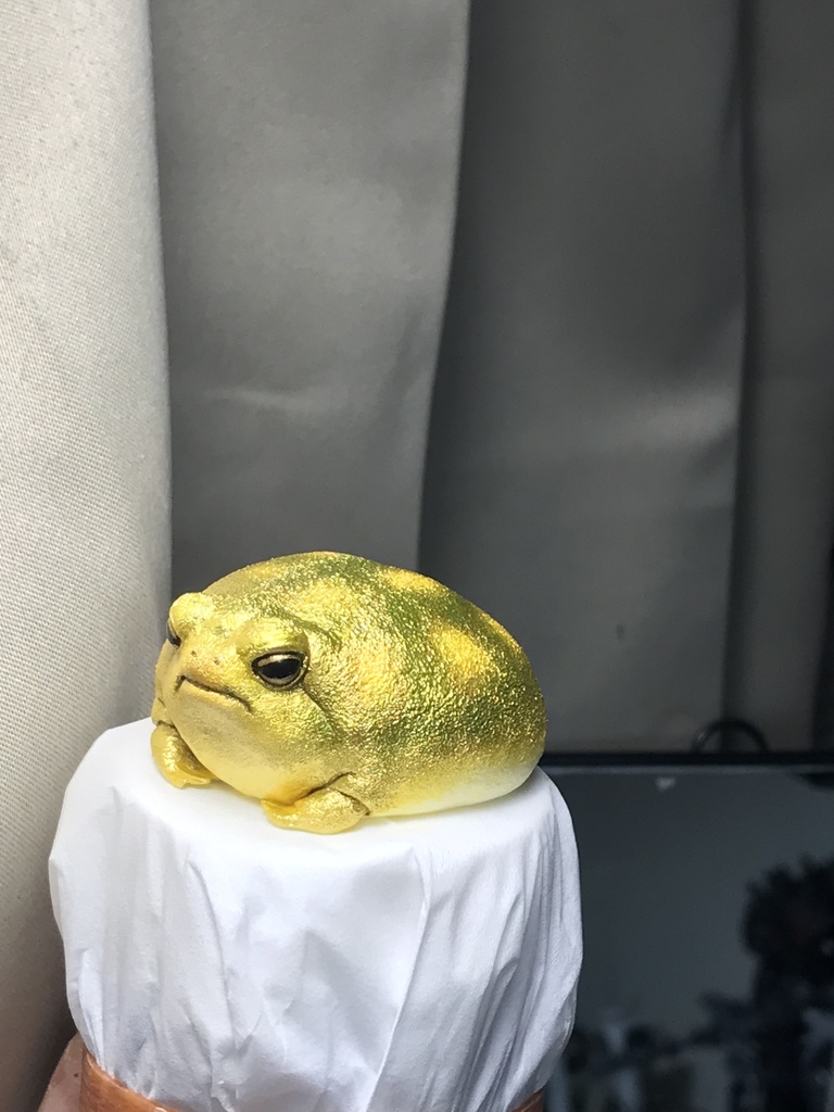 アメフクラガエル