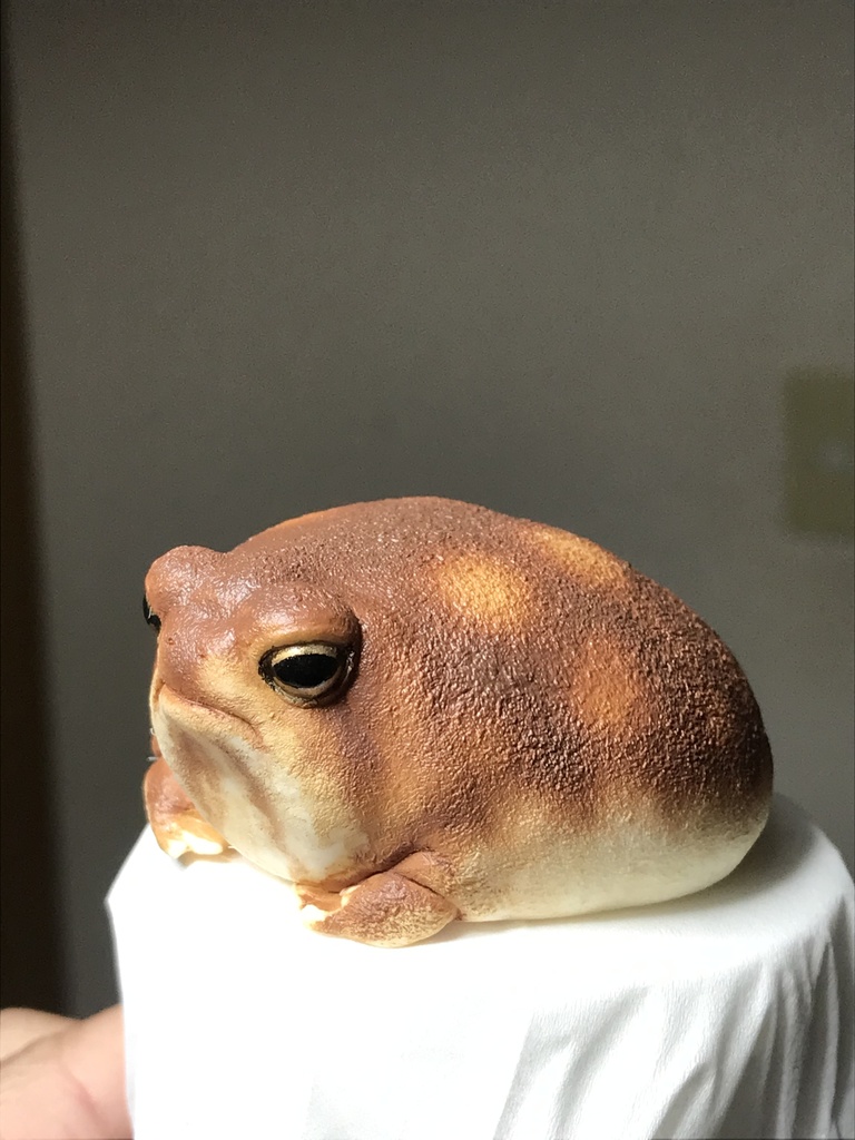 アメフクラガエル