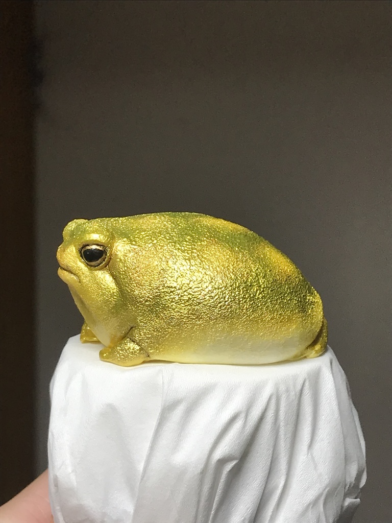 アメフクラガエル