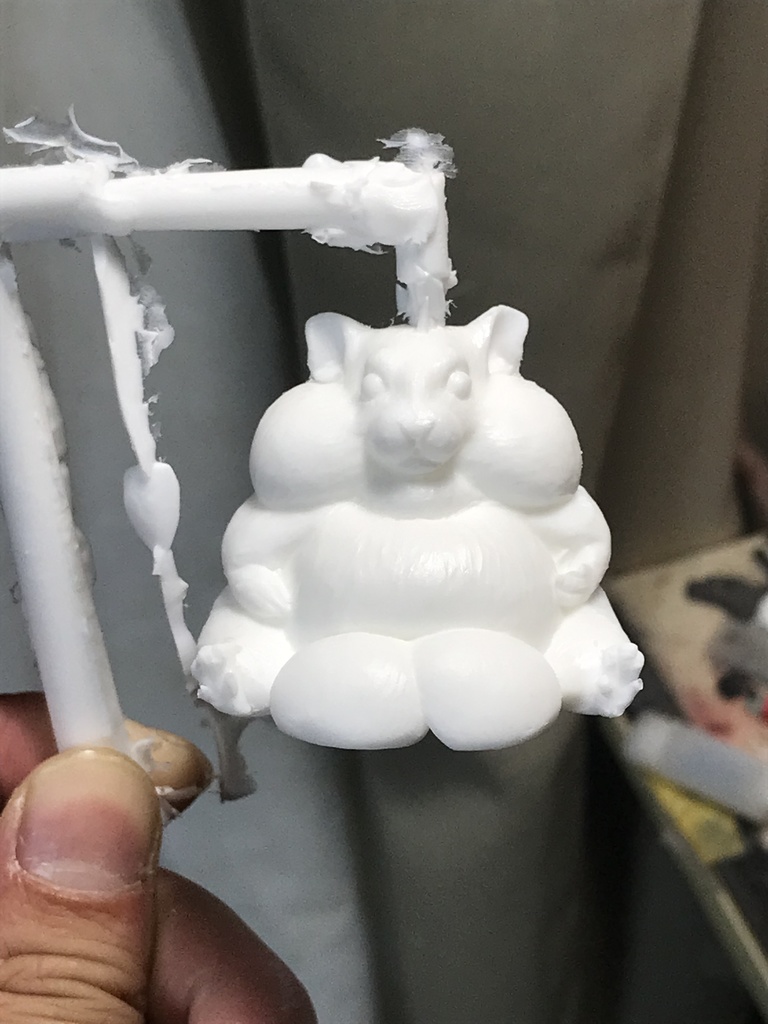 キンタマハムスター「タマさん」