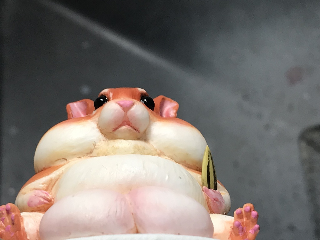 キンタマハムスター「タマさん」