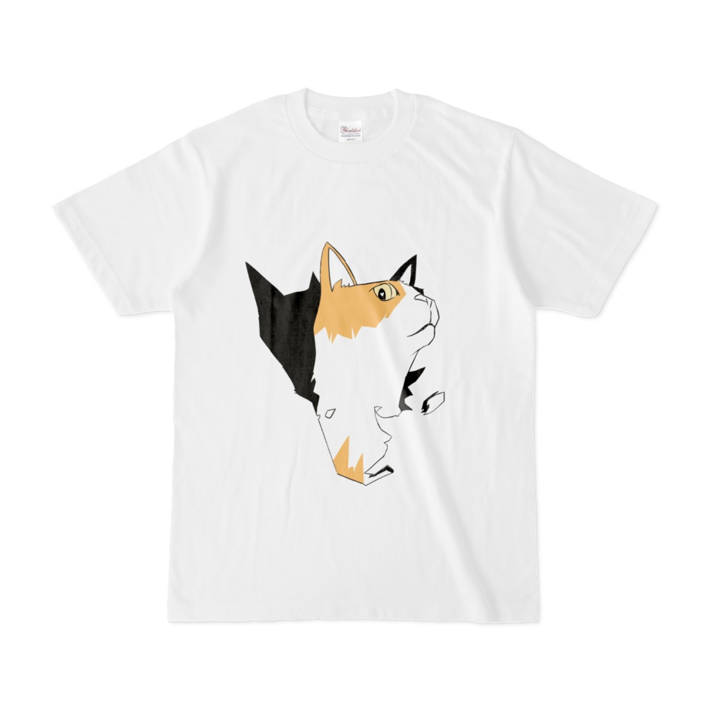破り猫三毛