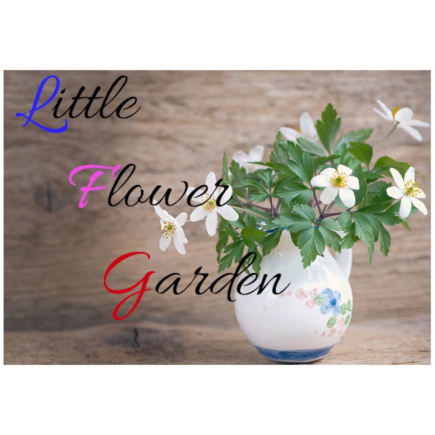 CoCシナリオ『Little Flower Garden』