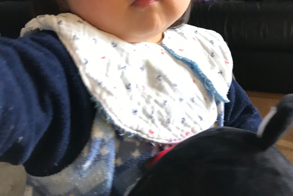 360度円型ドーナツスタイ型紙