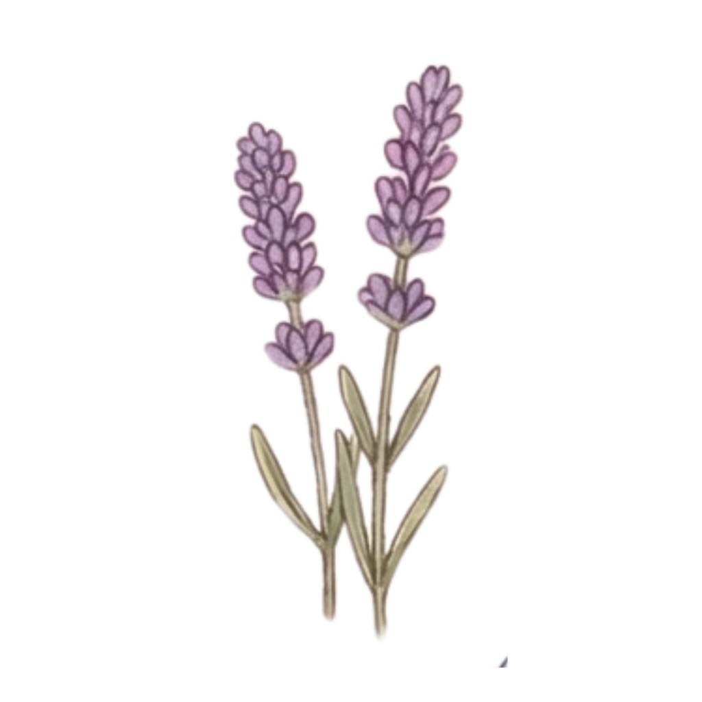 ティータイムと乙女の休息 - デジタルコラージュ用素材30種