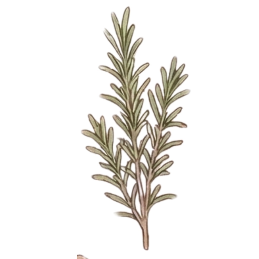 ティータイムと乙女の休息 - デジタルコラージュ用素材30種