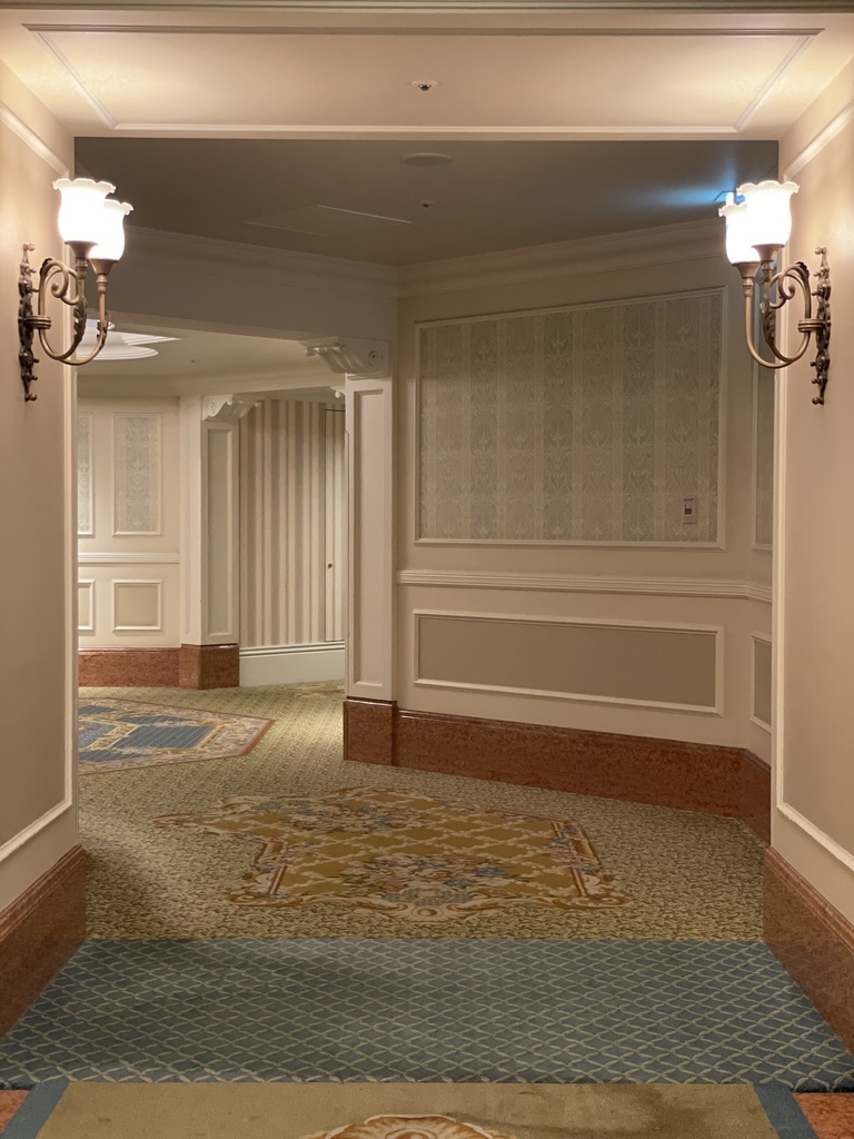 ๐ฐDisneylandHOTELโจ