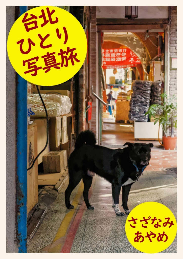 【無料PDF版】台北ひとり写真旅
