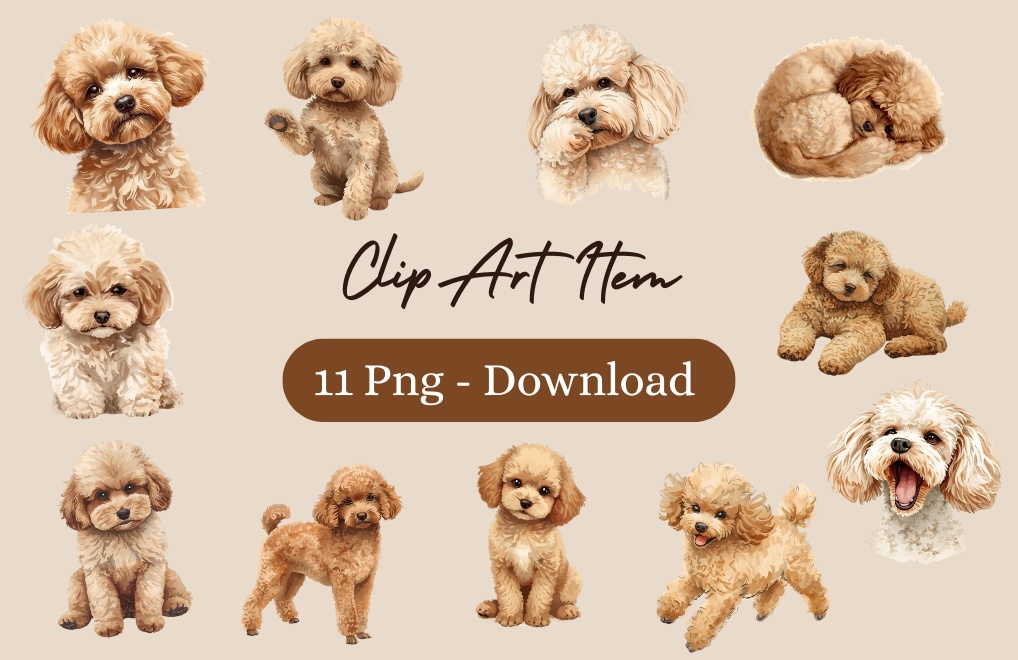 茶色のトイプードルのアンティーク風クリップアート11点セット | PNG背景透過