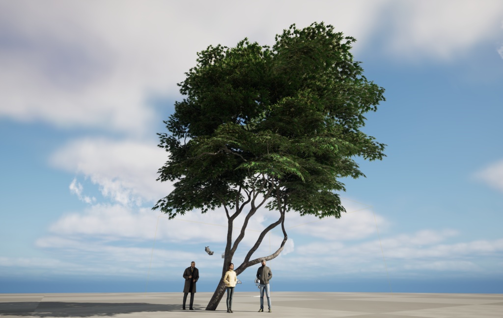 樹木モデル カエデ 登録有形⽂化財「沖本家住宅」(東京都国分寺市)