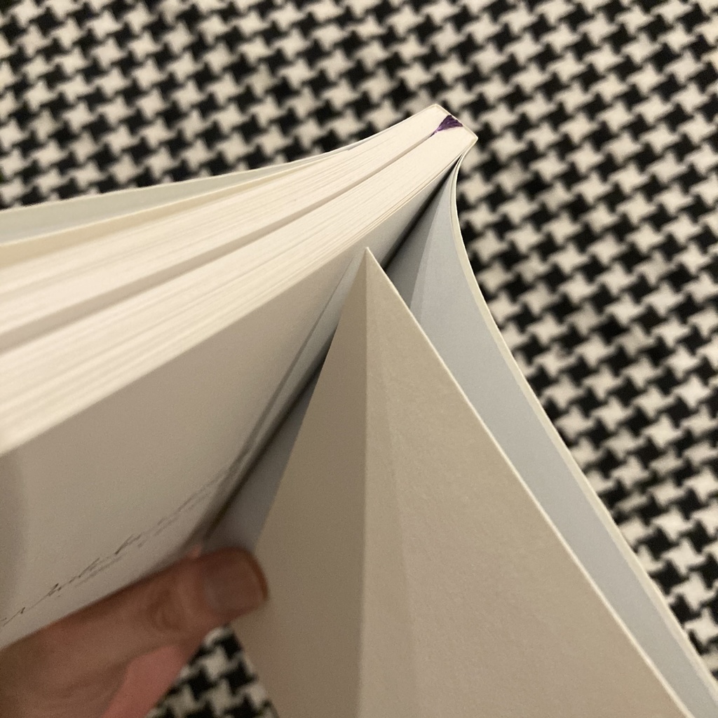 #Novelmber_r_koralle