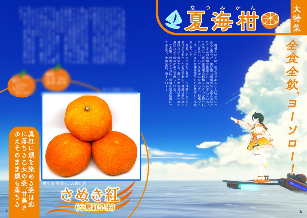 【DL版】C102新刊「MishuCan(味旬柑) GUIDEBOOK vol.2」