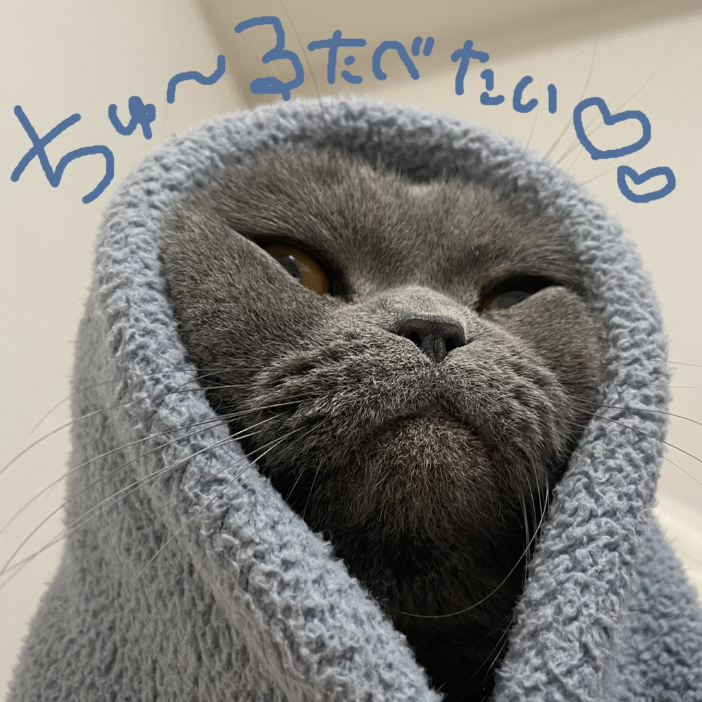 ' ♡15種類♡ pose for photo