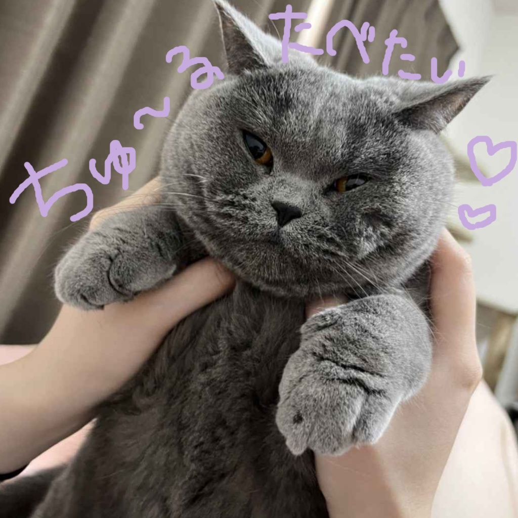 ໒꒱ 15種類 ⋆꙳ pose for photo 2