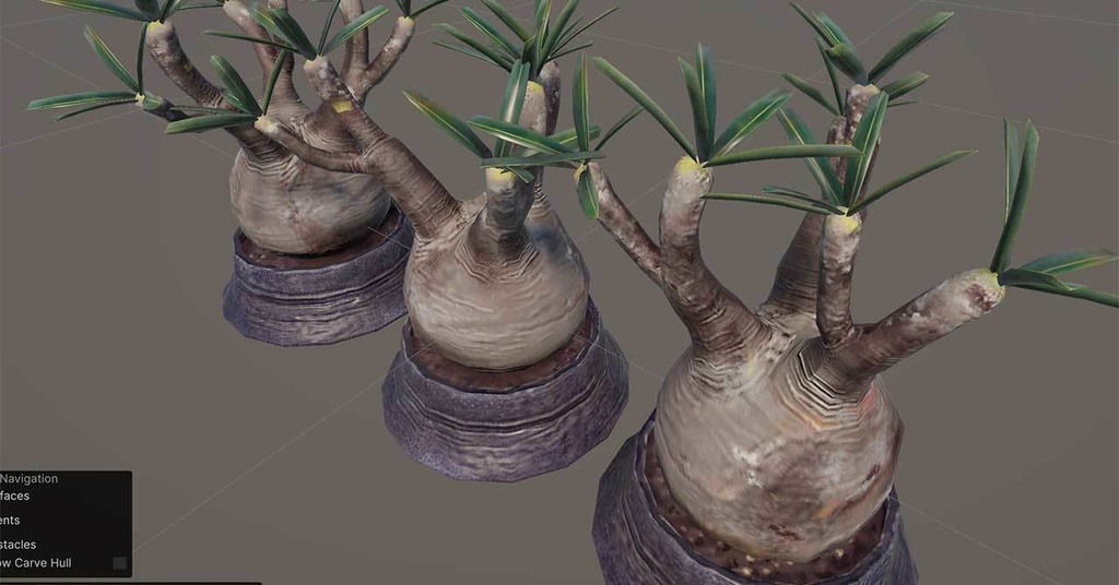 【3Dモデル】パキポディウム・グラキリス|VRChat・Unity汎用/Blender制作植物アセット