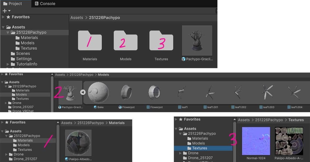 【3Dモデル】パキポディウム・グラキリス|VRChat・Unity汎用/Blender制作植物アセット