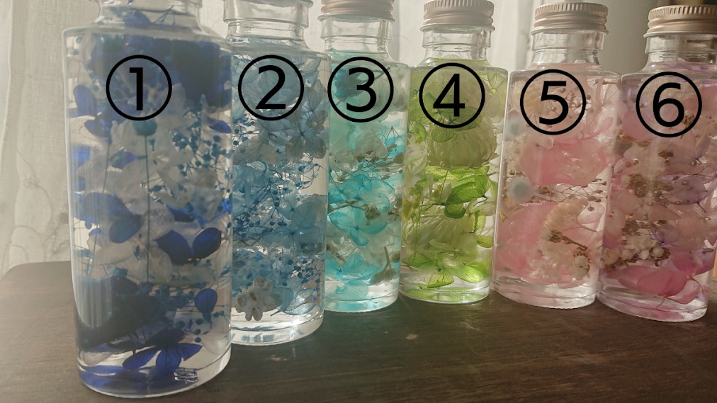 推しいろハーバリュウム Sサイズ